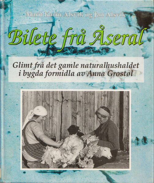 Fil:Bilete frå Åseral framsida.jpg