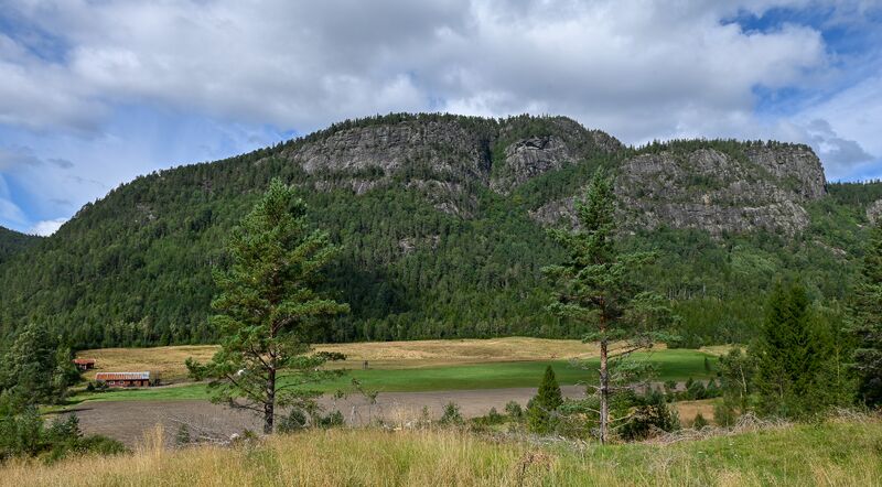 Fil:Åneknuten Dale Bygland 220825.jpg