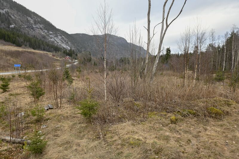 Fil:Snippen Skomedal Bygland 280326.jpg