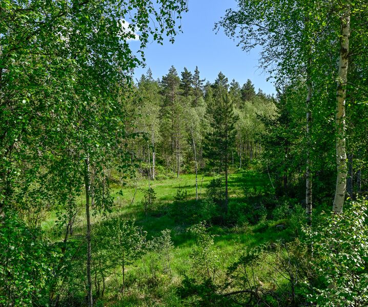 Fil:Krokstean Mjåland Åseral 020624-2.jpg
