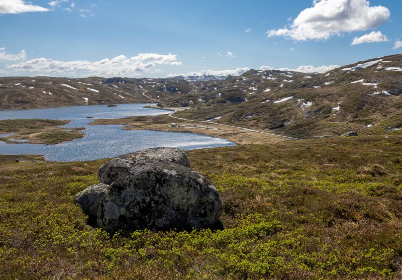 Fil:Brokke-Suleskarvegen 210525 (1)-2.jpg