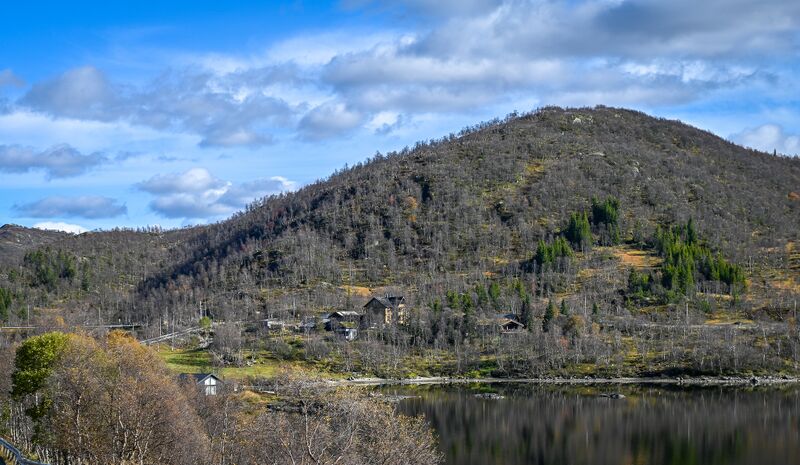 Fil:Bjåen Fjellstoge 270924-2.jpg