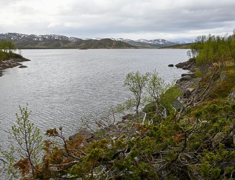 Fil:Langeidvatnet Vinje 230525-3.jpg