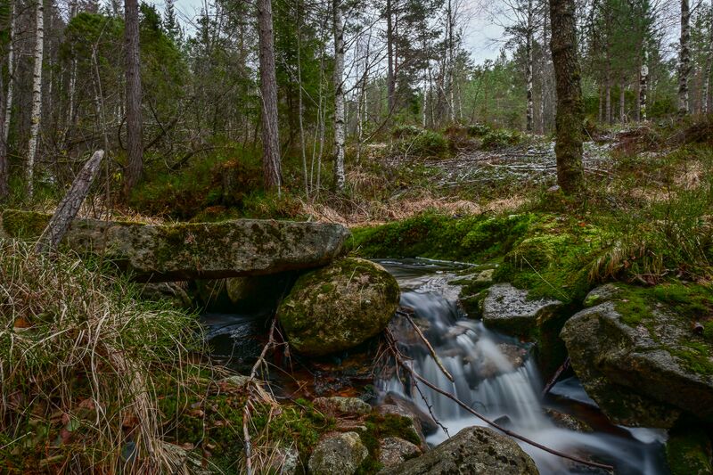 Fil:Laugarhølen Futevegen Syrtveit 141123-2.jpg